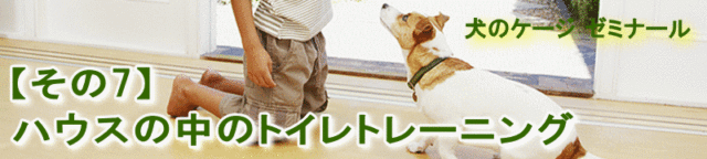 犬のケージゼミナール 【その7】ハウスの中のトイレトレーニング